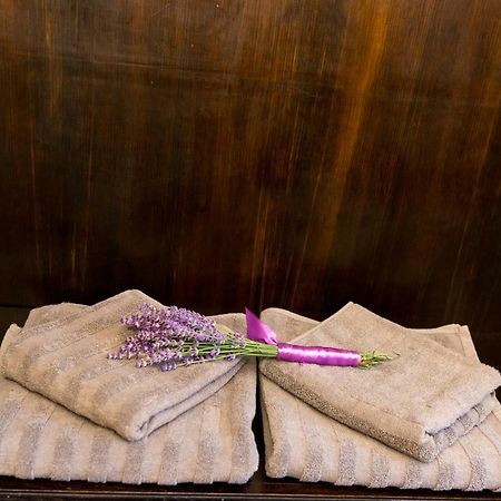 티미쇼아라 Casa Miron 1 아파트 외부 사진