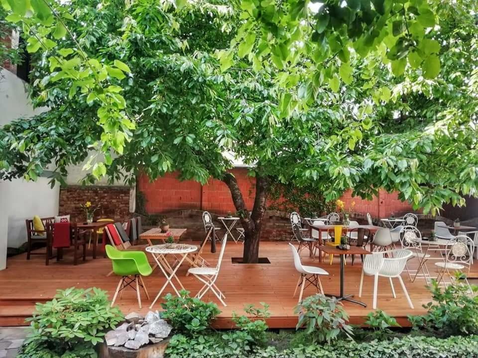 티미쇼아라 Casa Miron 1 아파트 외부 사진