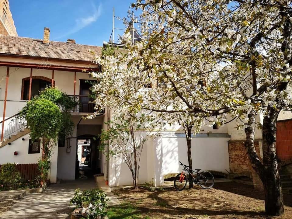 티미쇼아라 Casa Miron 1 아파트 외부 사진